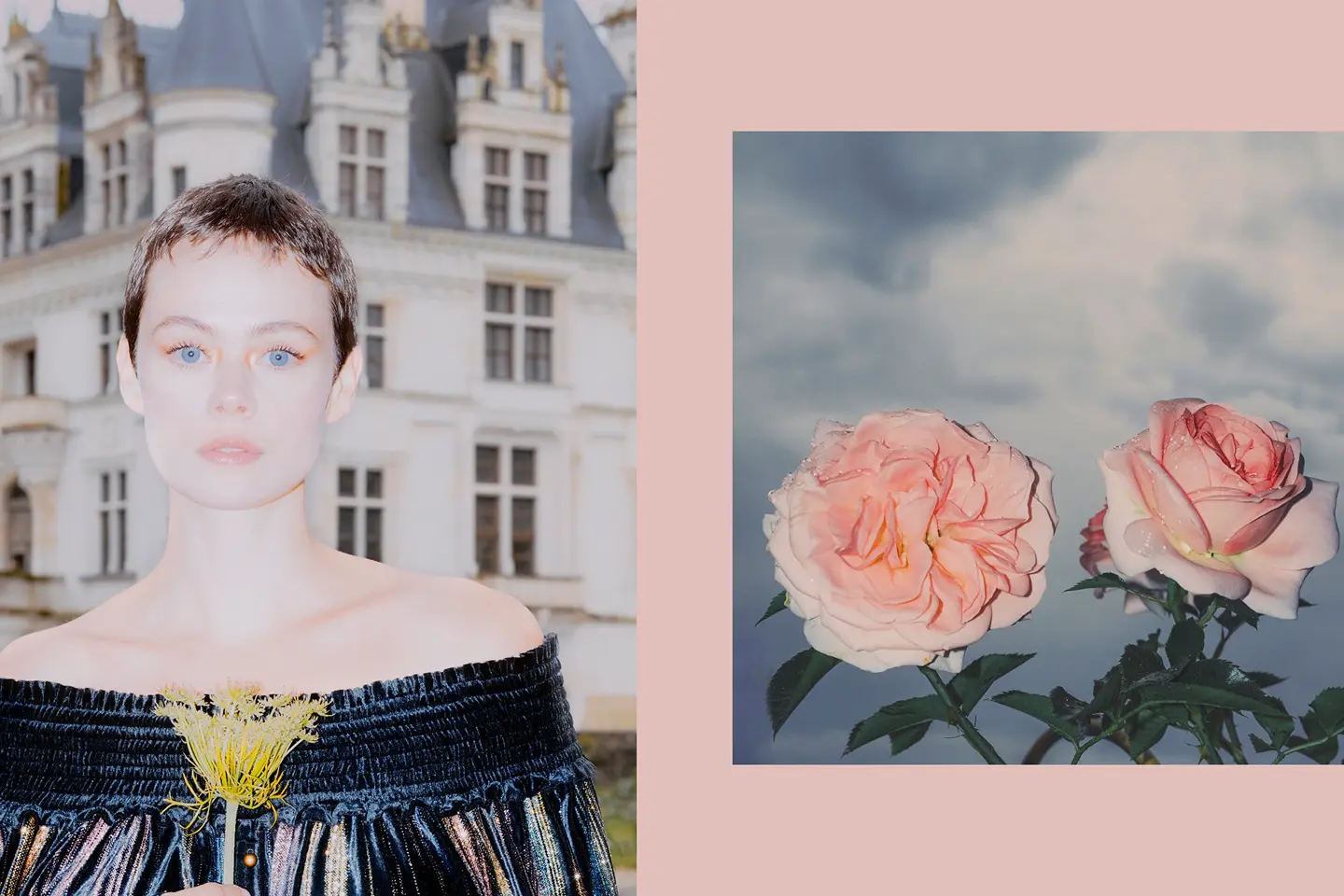 Two-part picture with a portrait of a woman in front of a castle and two roses.