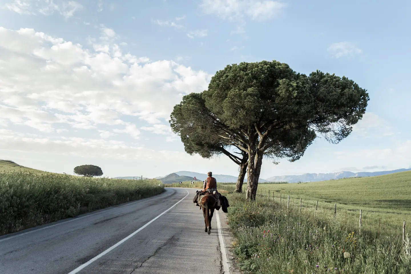 A man riding a horse down the street.