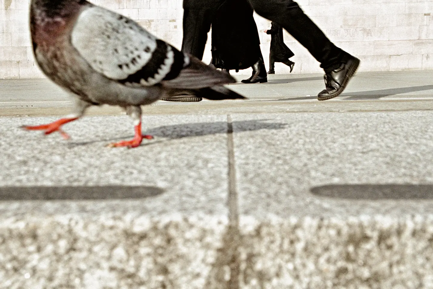 Workshop „London Street Photography“ - Matt Stuart, Leica Akademie UK