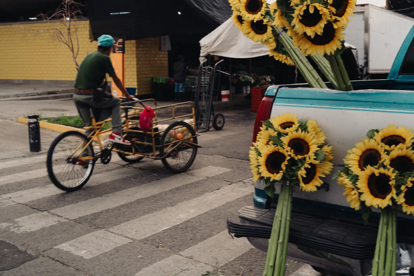 Sunflowers of sunflowers waiting to be picked up. 