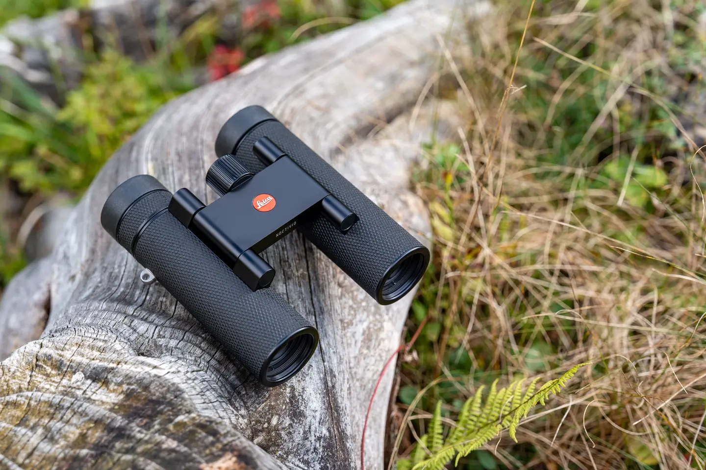 Leica Noctivid Compact showing outdoor on a stone