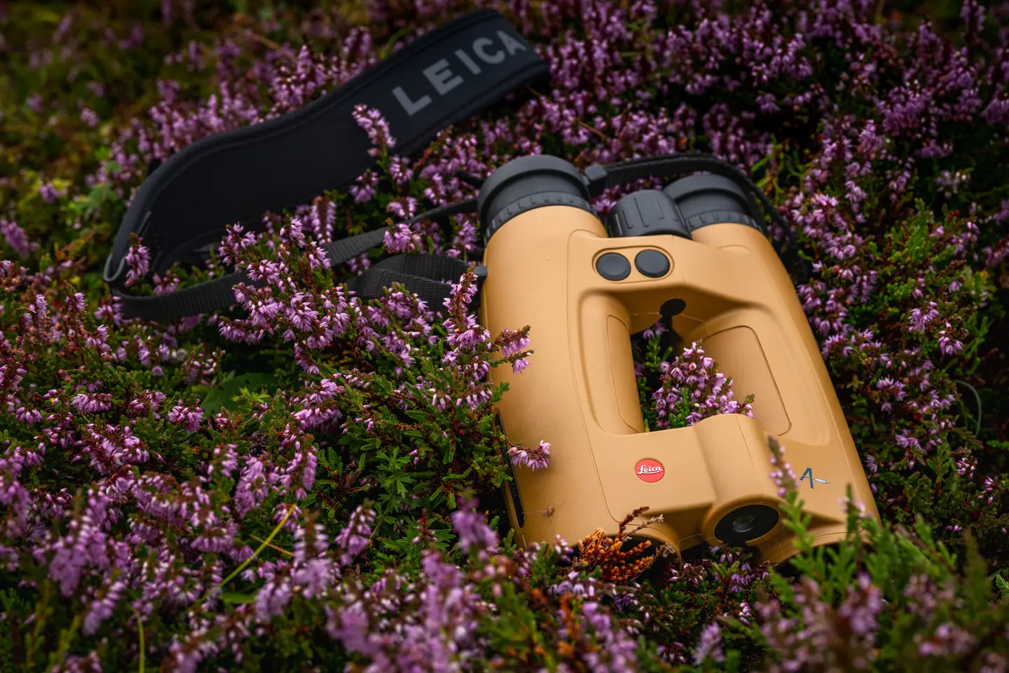 Leica Geovid Max lying in heather