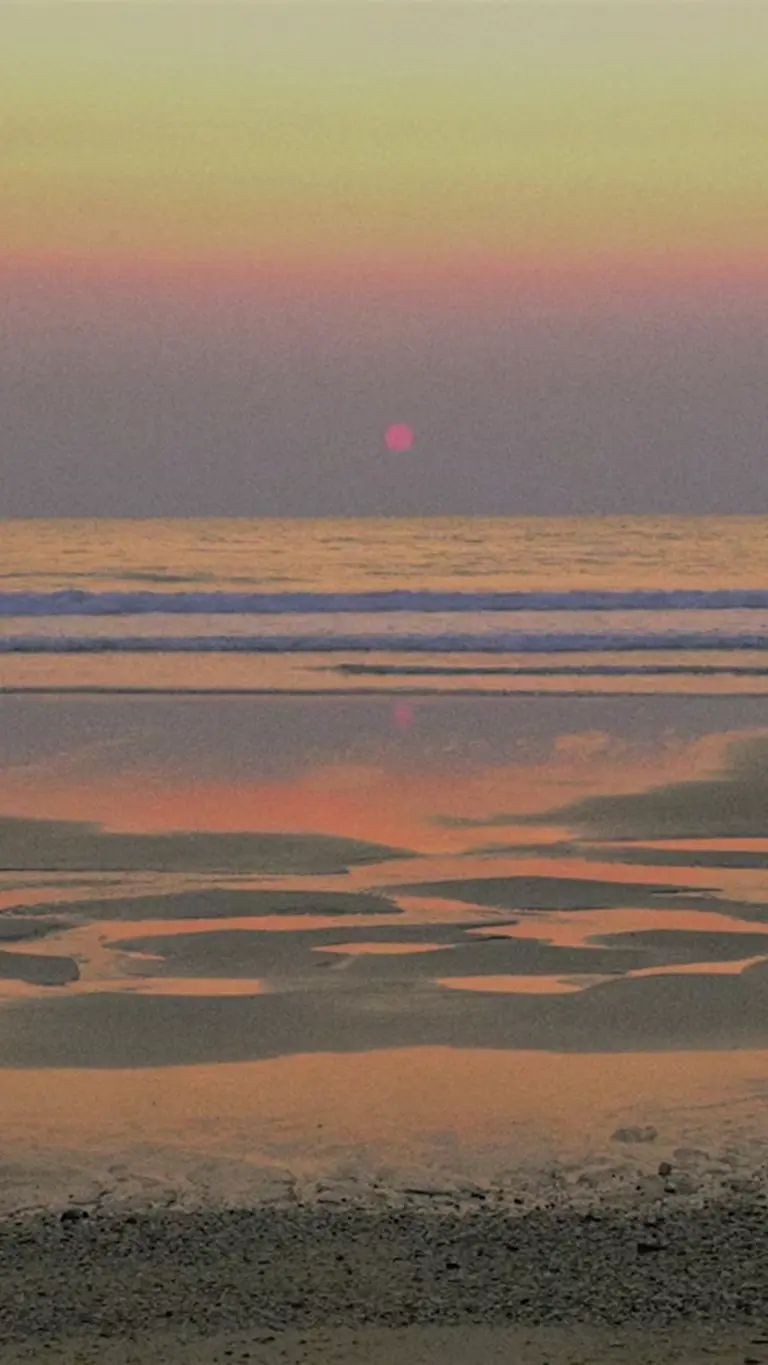 Dami exposition galerie Leica Paris par SMITH