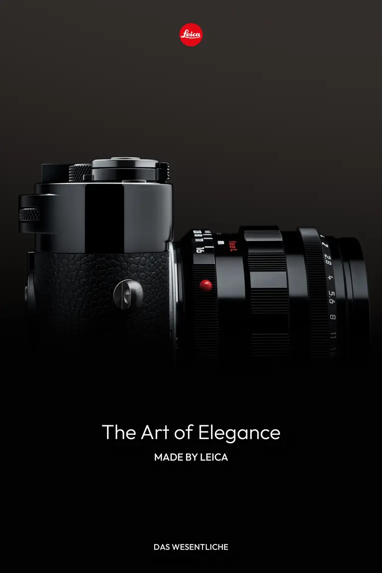 The Art of Elegance - Brand Campaign Visual 