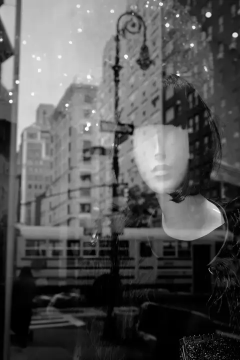 sho window reflection b&w