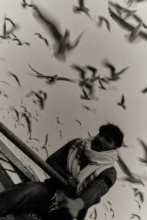 A man in a rowing boat, with many birds flying around him
