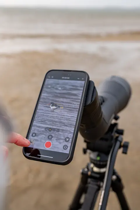 Digiscoping setup in use