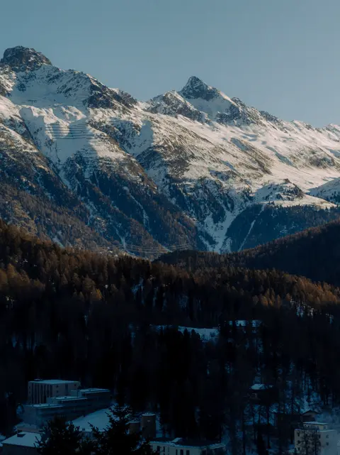 Snow-covered alpine peaks rising above a forested valley.