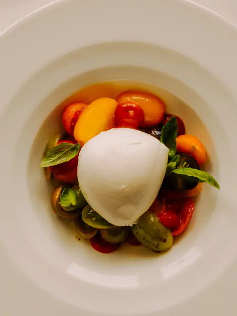Burrata with heirloom tomatoes and fresh basil on a white plate.