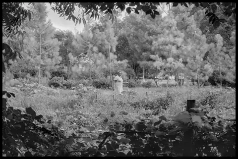 Woman in a garden