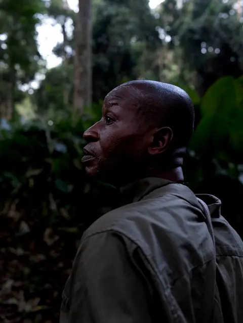 Wildlife tracker moving through dense rainforest vegetation, documenting conservation efforts and field research in Central Africa.