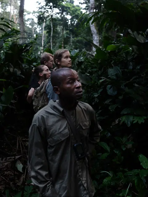 Guides and researchers move through dense tropical rainforest, documenting wildlife tracking and conservation work in Central Africa.