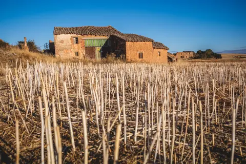 Abandoned farmhouse beside a harvested field in rural Spain, reflecting agricultural decline and depopulation in España Vacía.