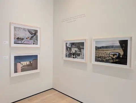 gallery install shot