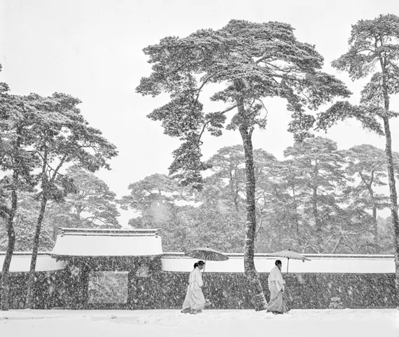 snowing at Meiji Shrine in 1951 by Werner Bischof