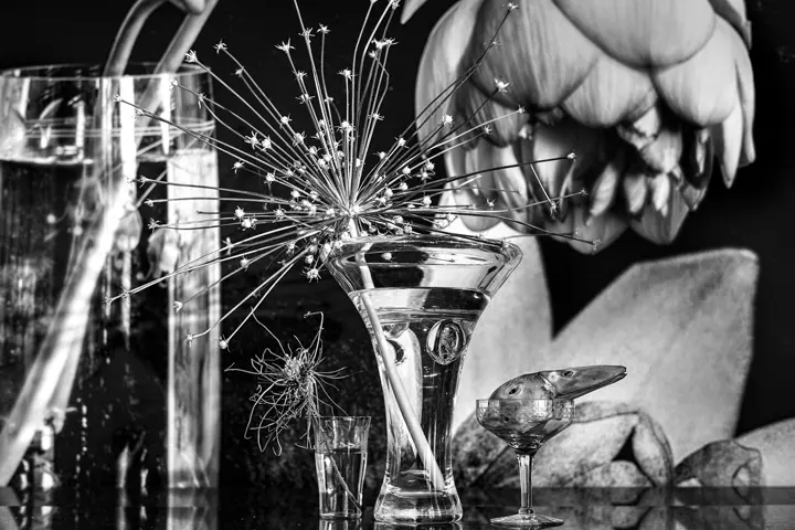 Still life, Leica gallery Stuttgart