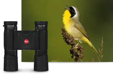 COMPACT-FIELD-OPTICS-2-VIVID-VIEWS