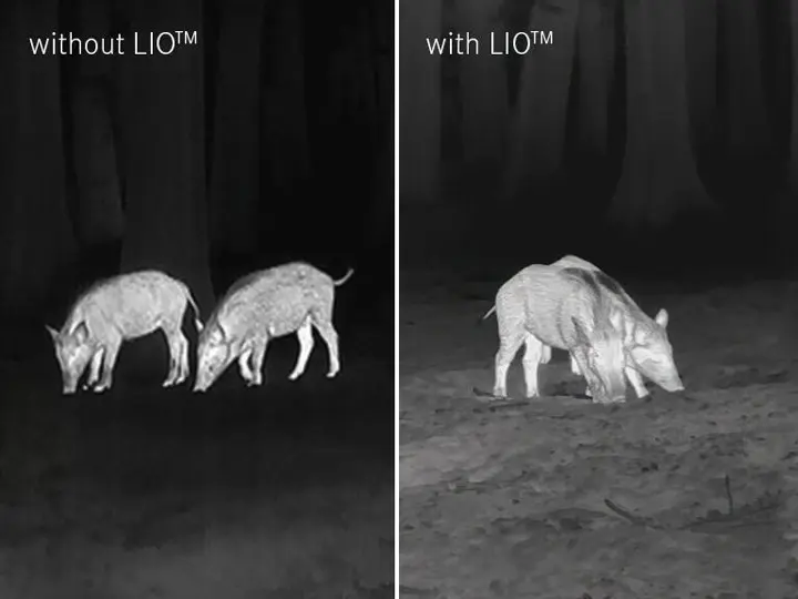 Leica Calonox Bildqualitaet - White Hot