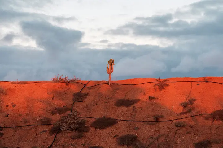 S-Magazine online Art & fashion photography at its best