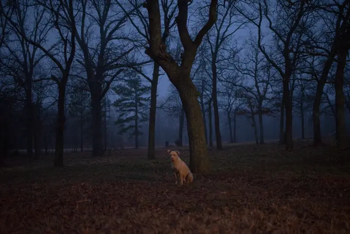 September Bottoms - LWFP