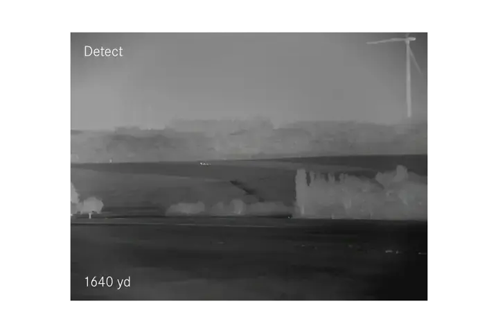 Detect