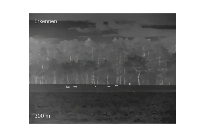 Erkennen