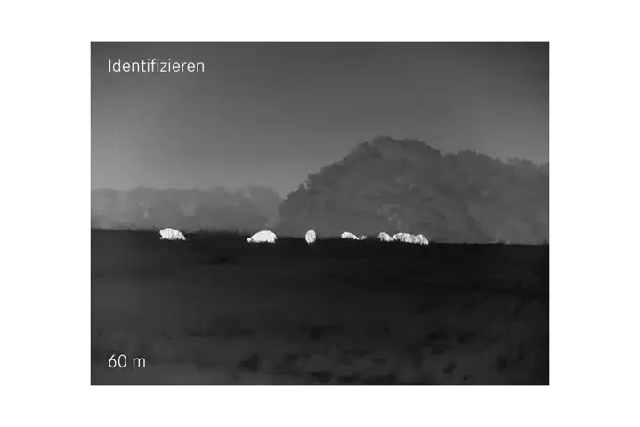 Identifizieren