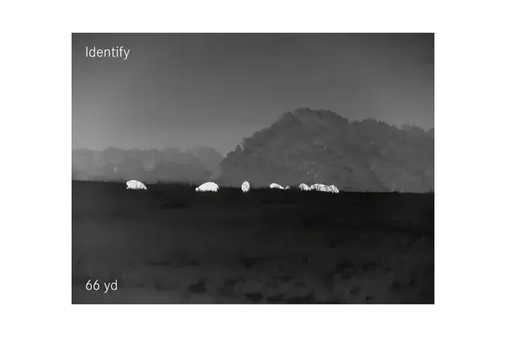 Identify