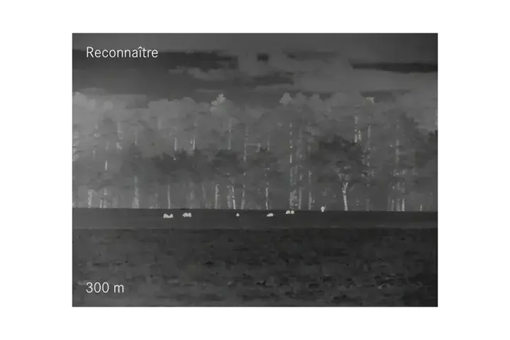 Reconnaitre