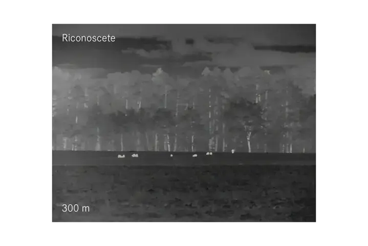 Riconoscete