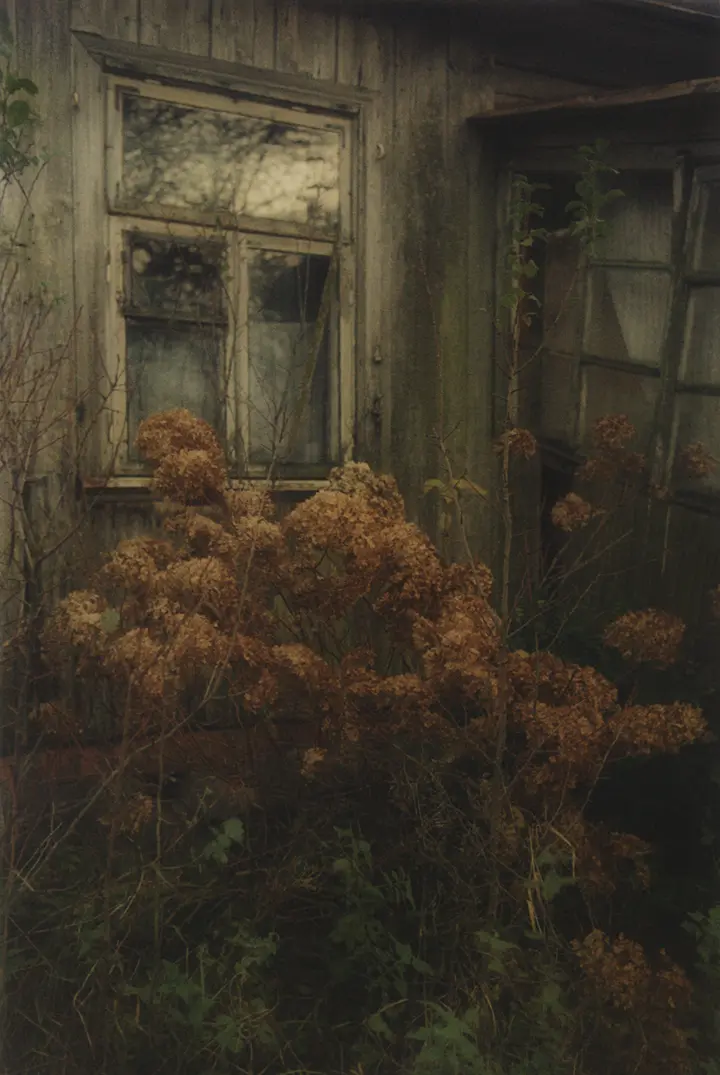 Matt Wilson