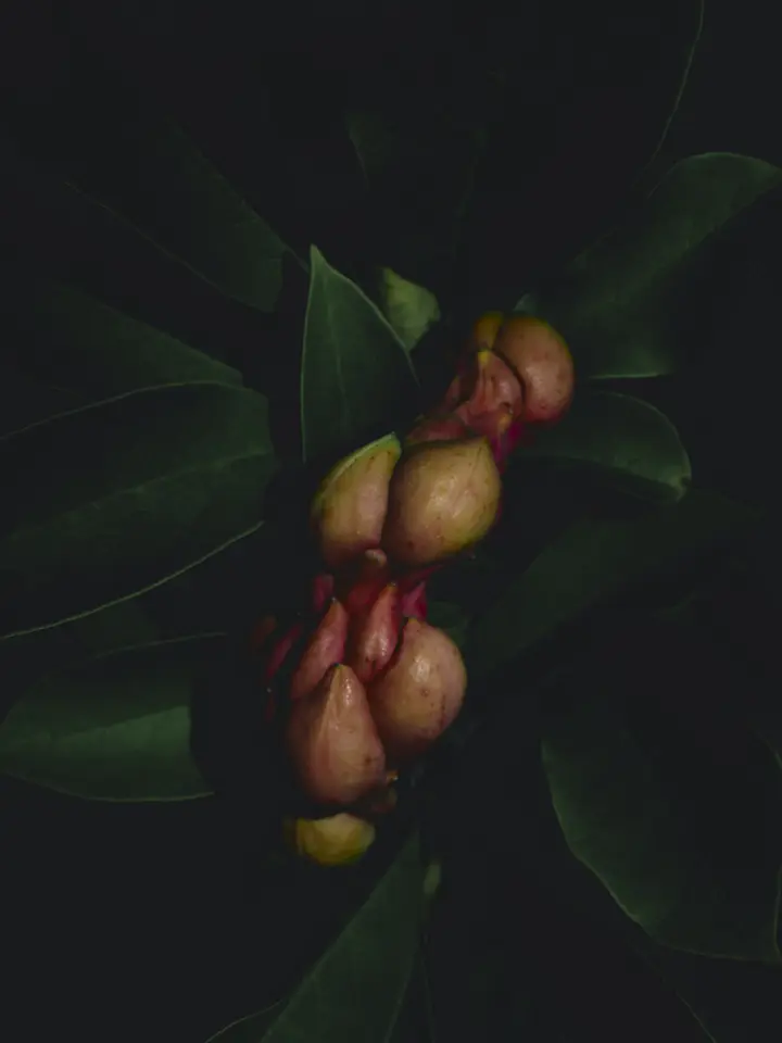 Florian-W-Müller_Equilibrium_06.jpg