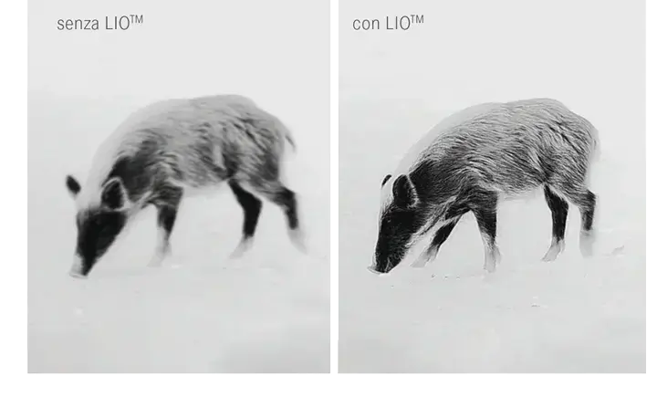 lioit.png