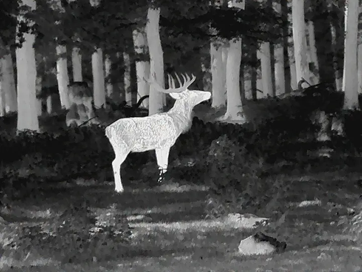 warmebild_2.gif