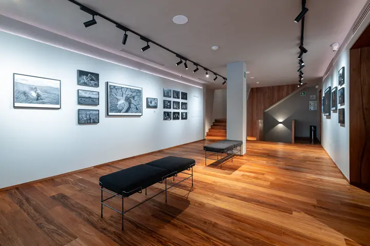 Interoir Gallery in Mexico 