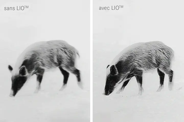 lio-fr.png