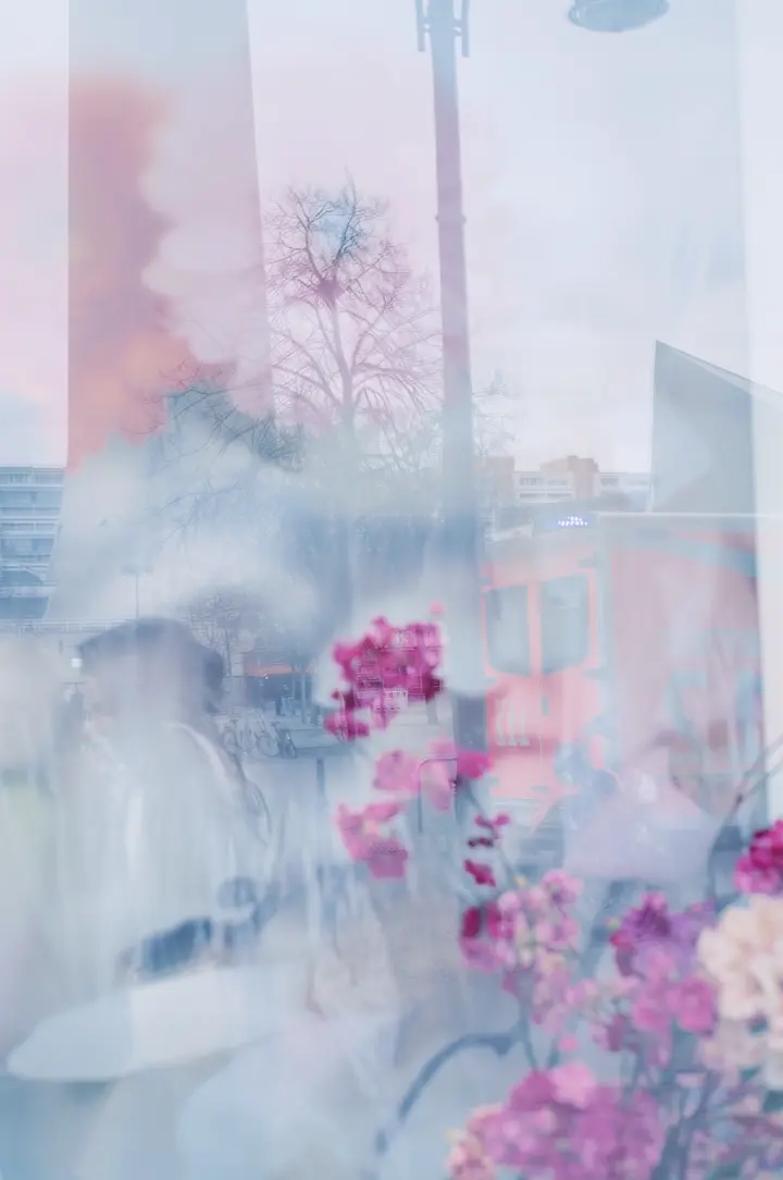 c_franziska_stuenkel_all_the_stories_149_2022_coexist.jpg
