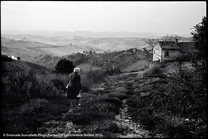 Woman in a landscape
