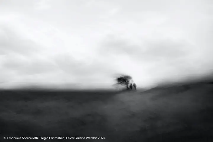 Disappearing scene in black and white 