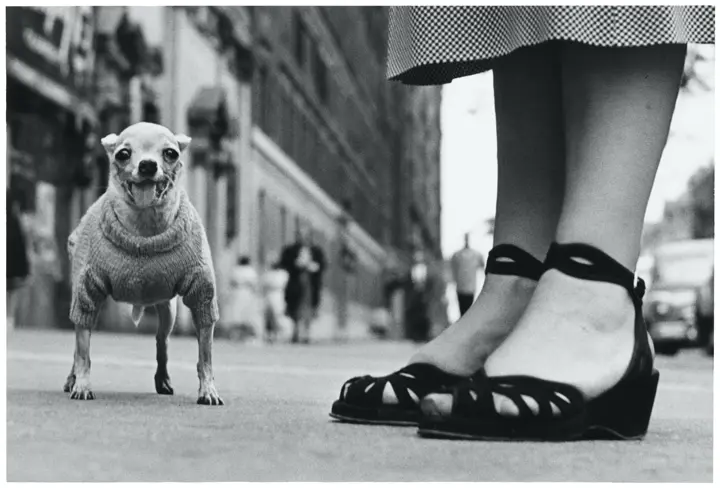 01_new_york_city_usa_1946_c_elliott_erwitt_magnum_photos.jpg