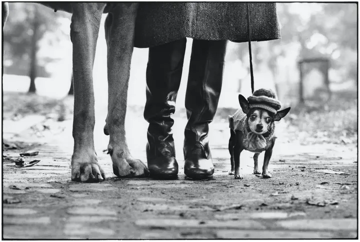 05_felix_gladys_rover_new_york_city_usa_1974_c_elliott_erwitt_magnum_photos.jpg