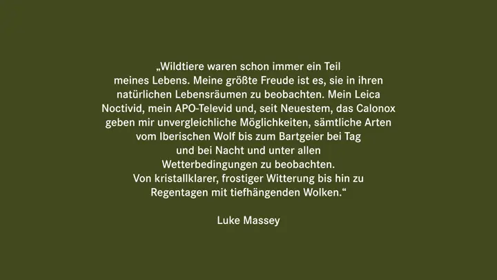 qoute_luke.jpg