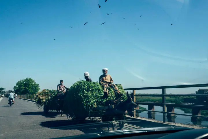 Bobby Anwar - My Father's Soil