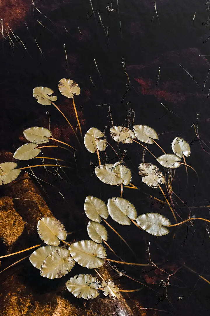 Orbis Terrarum une exposition de Benjamin Deroche