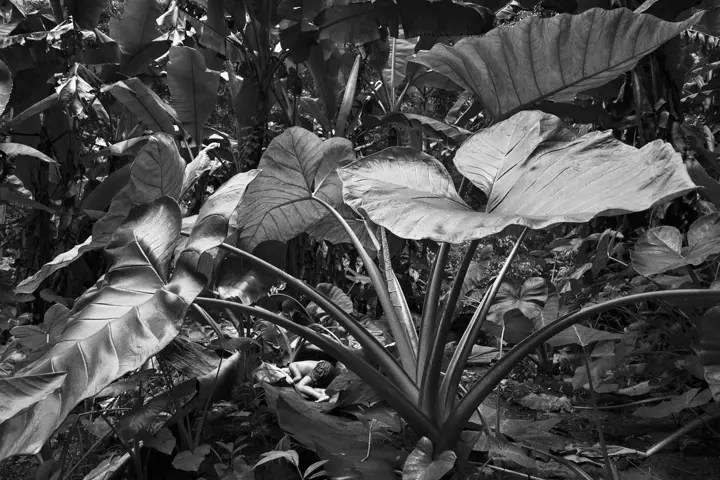 Exposition Autochtones de Pierre de Vallombreuse