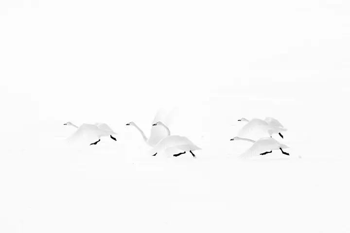 Olivier Larrey japon sous la neige avec le Leica SL3