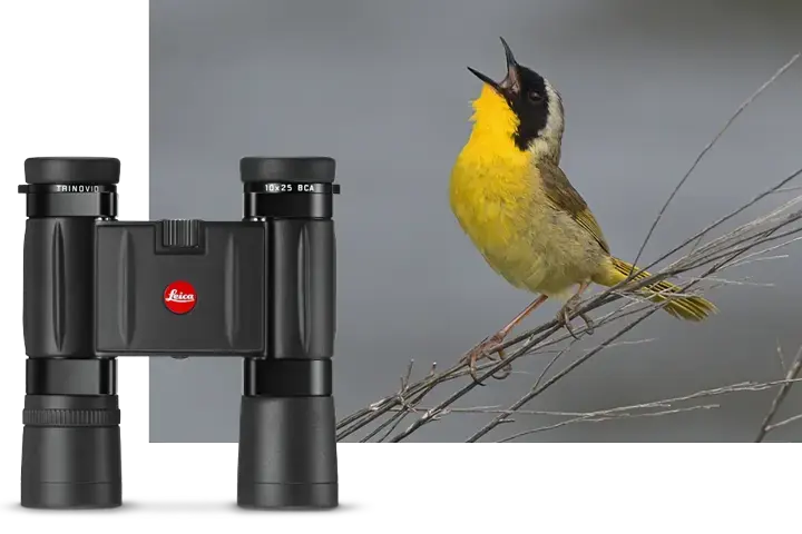 Singing Bird with Trinovid