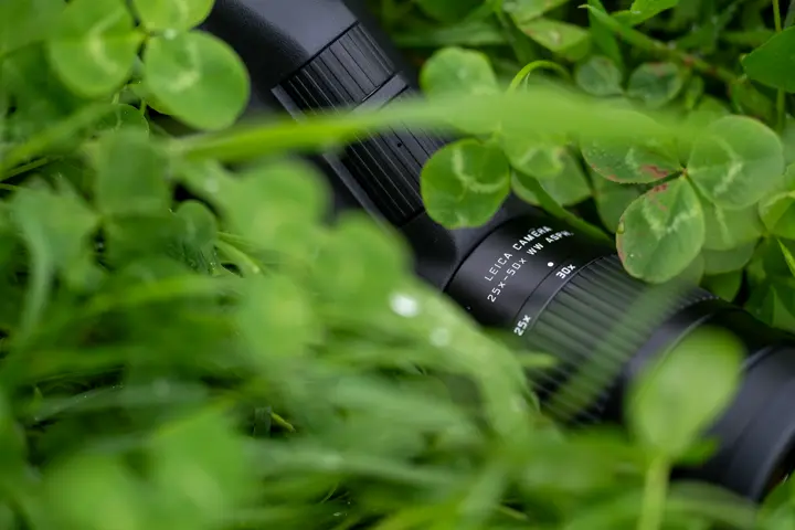 Close up from the Leica Vario Eyepiece 25x-50x WW ASPH.