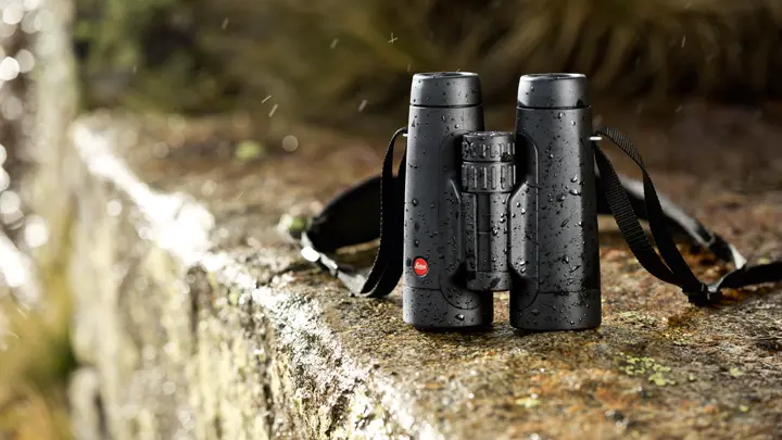 Colour photo of Leica Trinovids on a rock