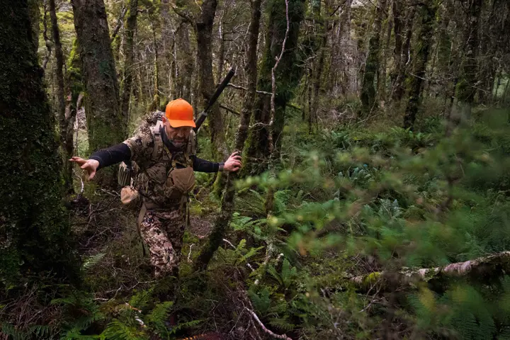 Hunter in the rain forest of New Zealand